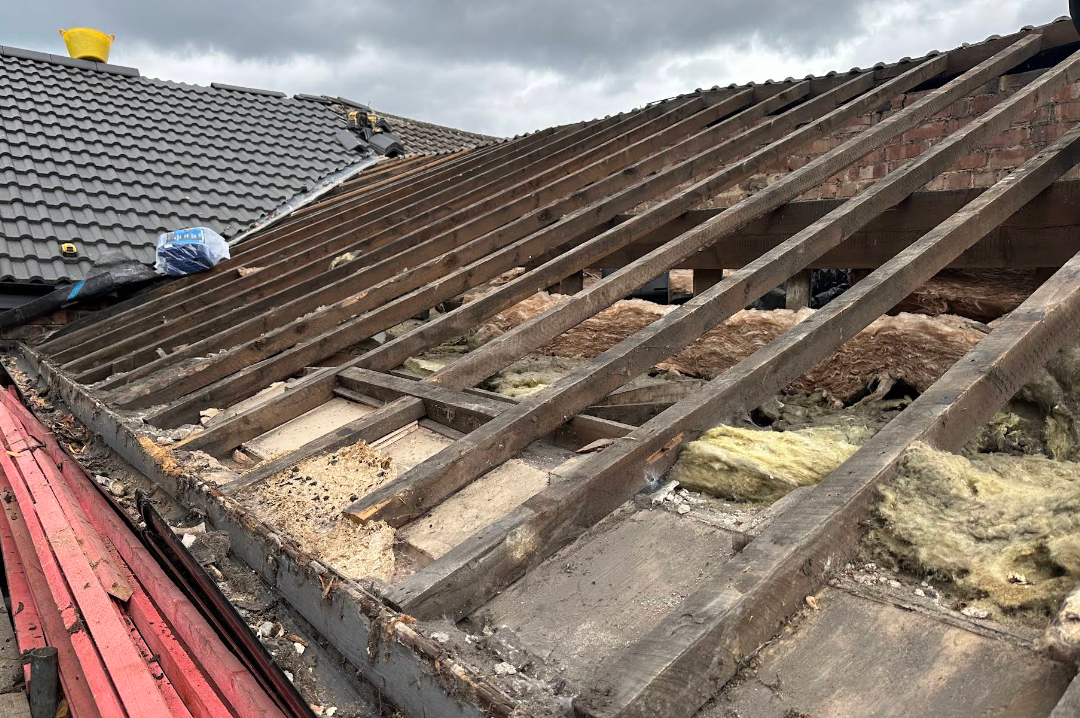 Bare rafters and joists with loft insulation open to the sky